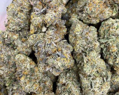ANIMAL COOKIES (EXOTIC) - Image 1